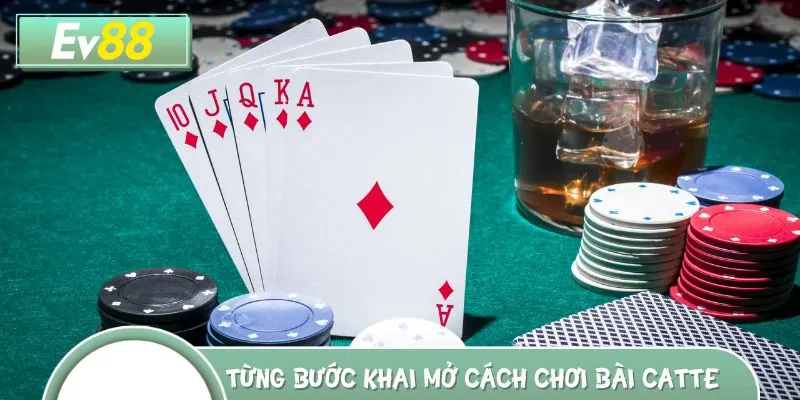 Hướng dẫn cách chơi bài Catte siêu đơn giản