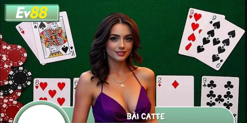 Học Cách Chơi Bài Catte Như Cao Thủ – Làm Chủ Từng Nước Đi