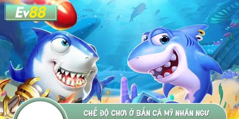 Tìm hiểu ngay chế độ chơi đa dạng ở bắn cá Mỹ Nhân Ngư
