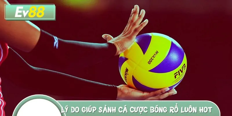 Cá cược bóng rổ thu hút hàng triệu bet thủ tham gia đặt cược