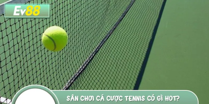 Trải nghiệm cá cược tennis cực đỉnh tại EV88