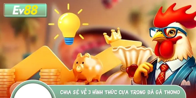 Chia sẻ về 3 hình thức cựa phổ biến trong đá gà Thomo