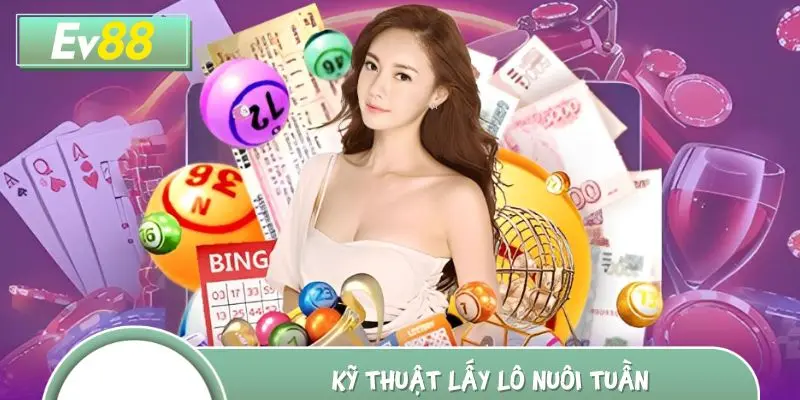 Soi cầu đề miền Bắc với kỹ thuật lấy lô nuôi tuần