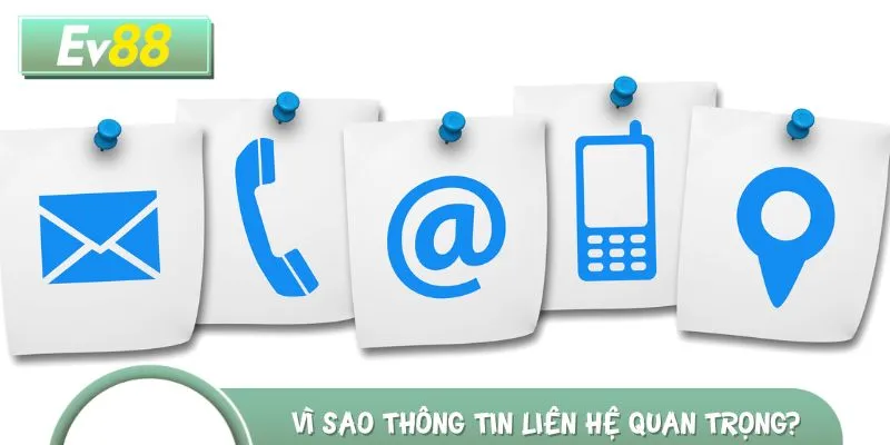 Thông tin liên hệ đóng vai trò quan trọng đối với những người chơi cá cược online