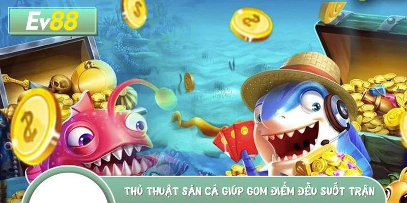 Thủ thuật săn cá giúp bạn gom điểm đều suốt trận