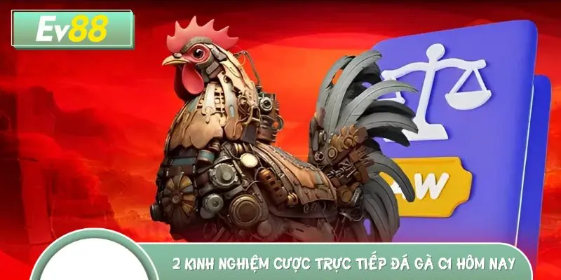 2 kinh nghiệm cược trực tiếp đá gà C1 hôm nay hữu hiệu nhất